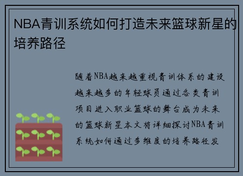 NBA青训系统如何打造未来篮球新星的培养路径